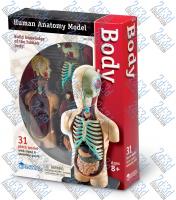 Комплекты таблиц Система органов тела человека – Тело – Анатомия человека