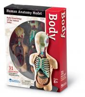 Комплекти таблиць Система органів тіла людини – Тіло – анатомія людини