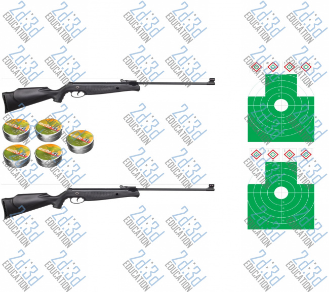 Пневматичний стрілецький тренажер (тир). Варіант 1. Тип 1