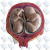 Модель эмбриона человека