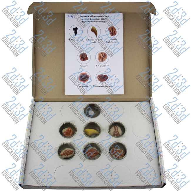 Колекція Палеонтологічна