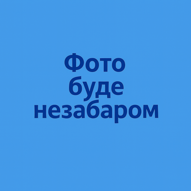 Система безперебійного живлення Charge2Go 6000.200.115